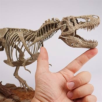 木彫　Tyrannosaurus rex 1/10　全身骨格模型 約97cm 木彫 Tyrannosaurus rex 1/10 全身骨格模型 約97cm